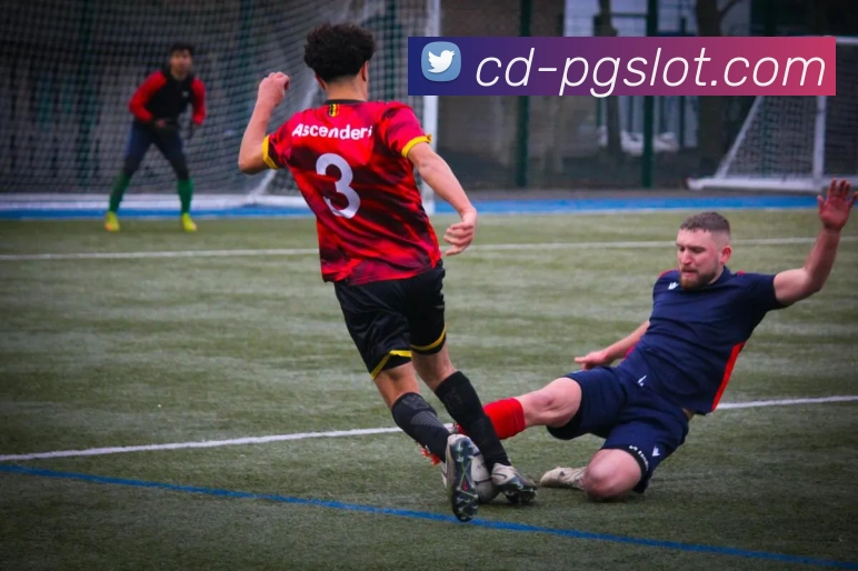 麻将胡了官网平台生态图