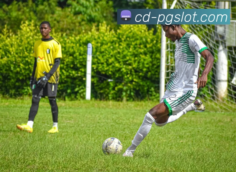 麻将胡了官网全站App